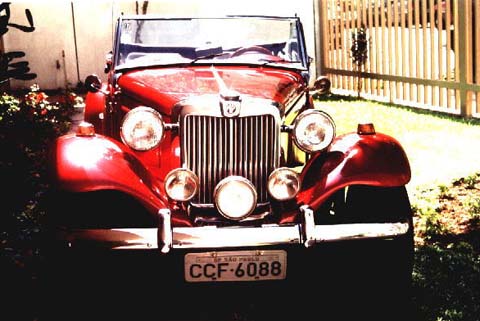 Galeria